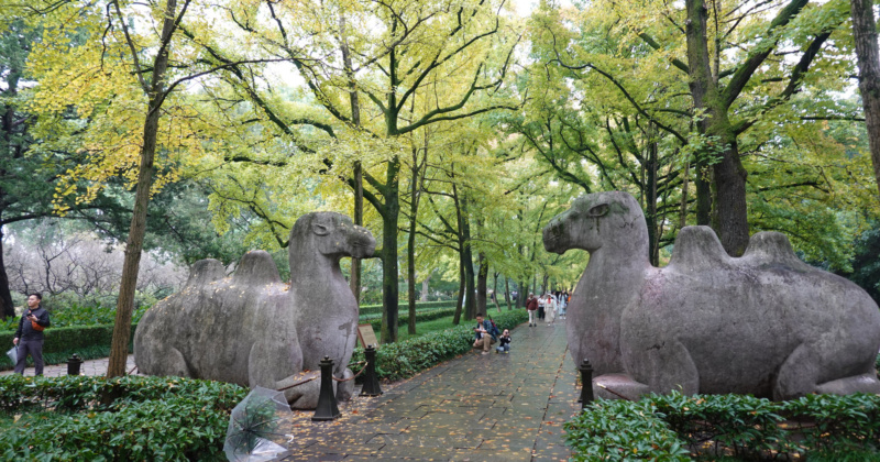 2026.10.18 Walking Along The Sacred Path [Shi Xiang Lu, 石象路] (360 @8x)
